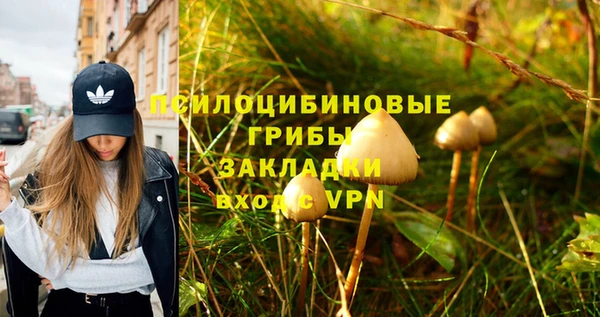 сатива Абдулино