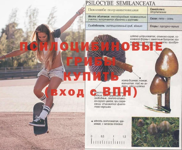 наркотики Аркадак