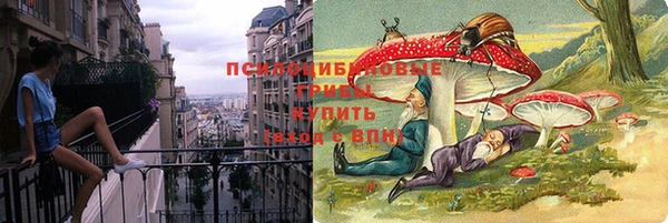 гидра Карпинск