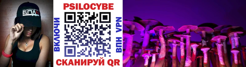 продажа наркотиков  Шумиха  ОМГ ОМГ ссылки  Псилоцибиновые грибы MAGIC MUSHROOMS 